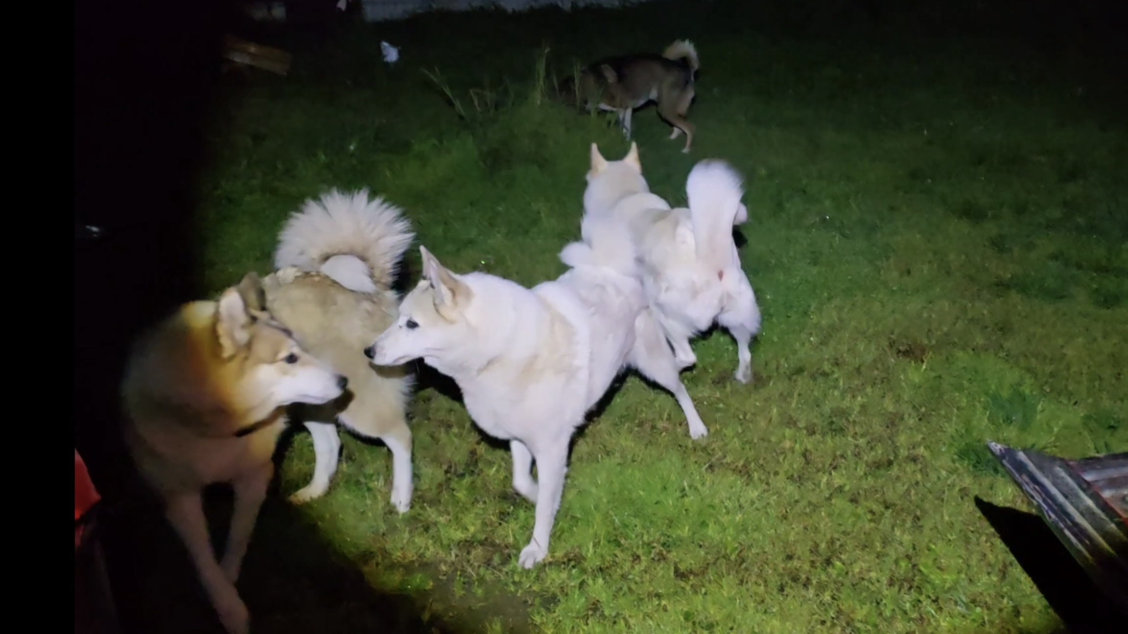 Горячая встреча с лайками