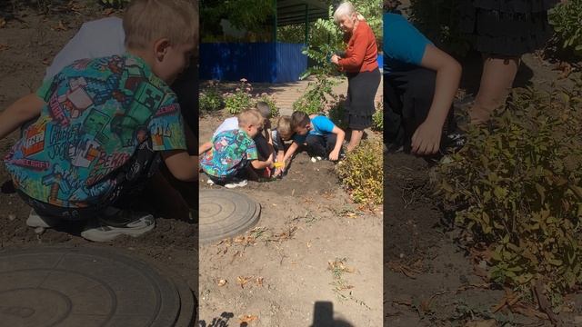 экологическое воспитание