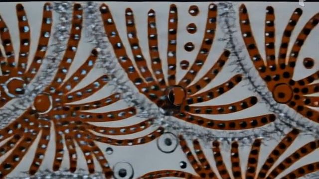 Хищная ювелирность 2