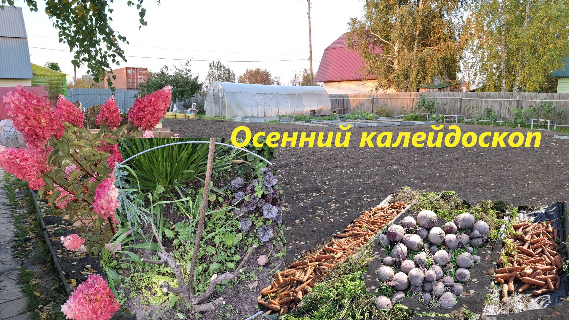 Гортензии, тюльпаны, розы, овощи - все смешалось в один день. #105