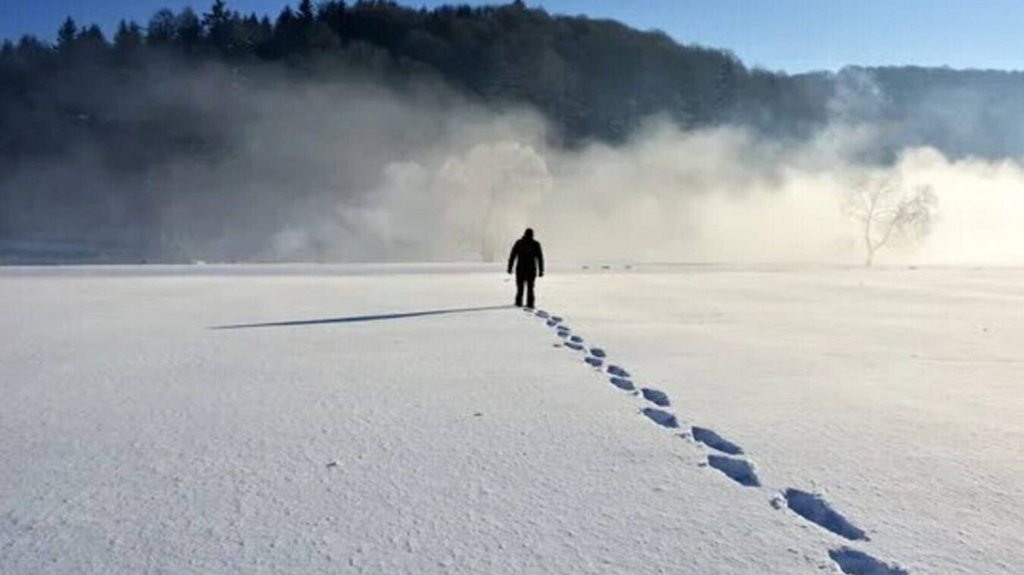 Птичка песню мне насвистывала|Автор-Ольга Павлова-стихи, видео|Cуно-Миша Биркин|