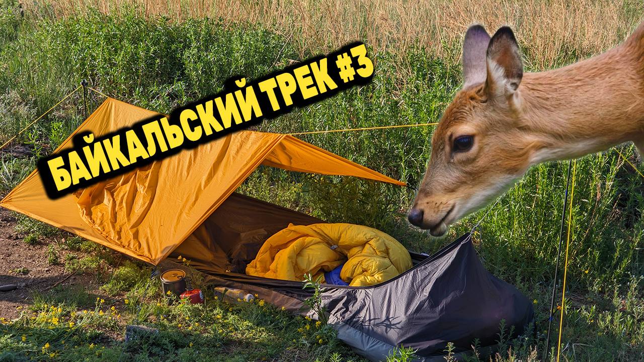 НОЧУЮ В БИВИ МЕШКЕ с КОСУЛЯМИ Зун Куржитуй. БАЙКАЛЬСКИЙ ТРЕК 140 КМ. День 2 Серия 3