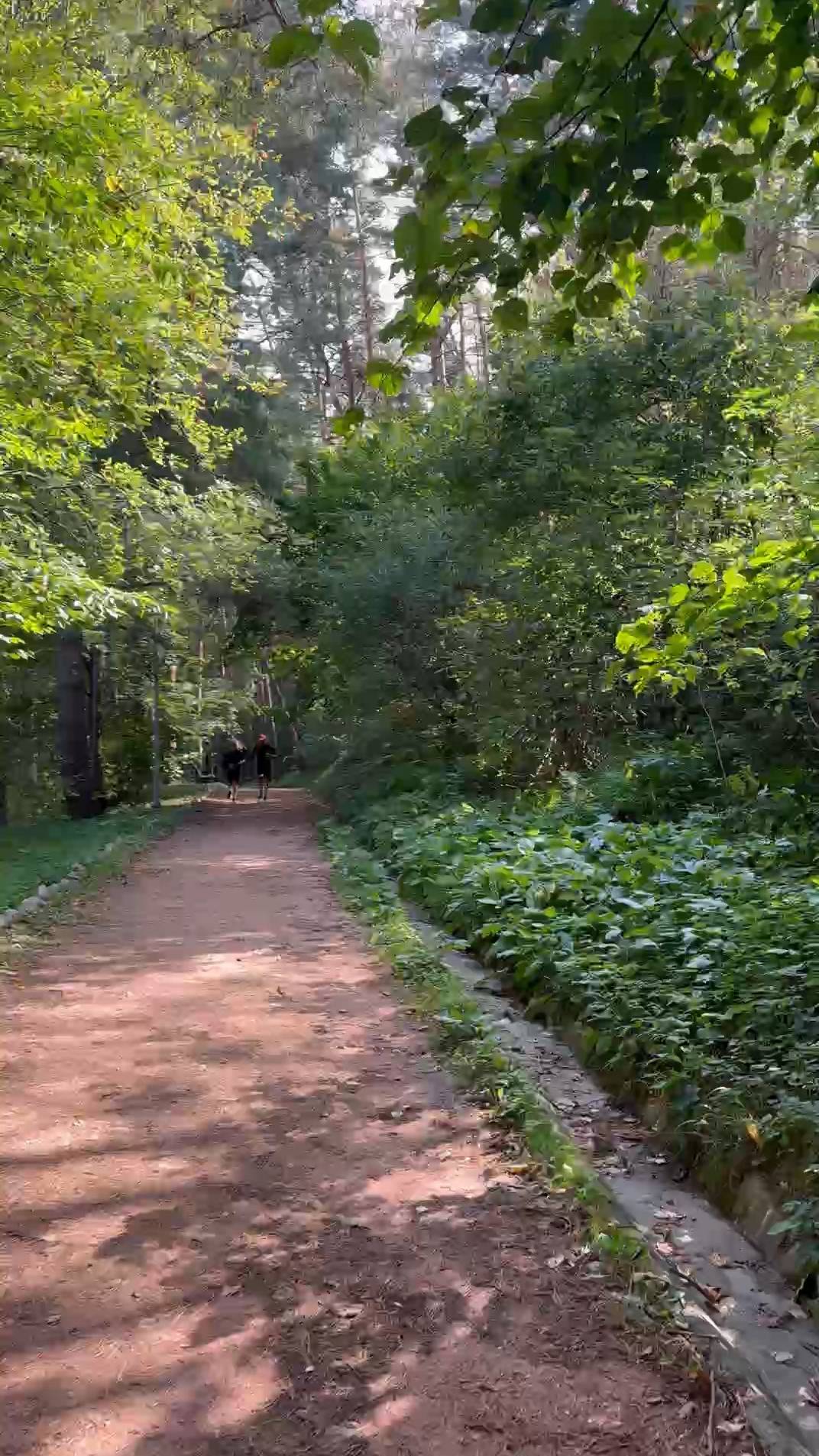 От Пятигорска до Кисловодска - где искать настоящее оздоровление