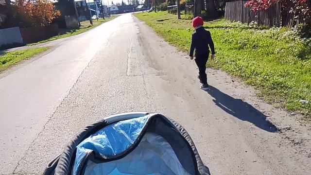 прогулка на валдбериз и озон