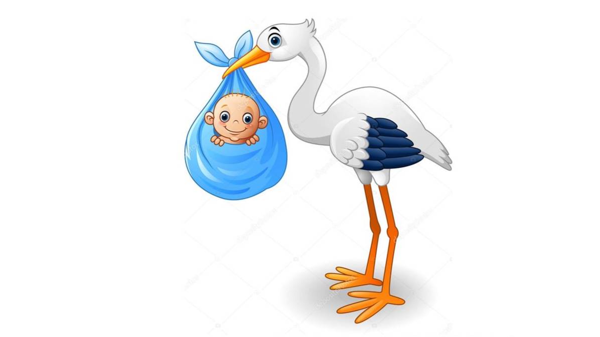 Знакомство с новорожденным