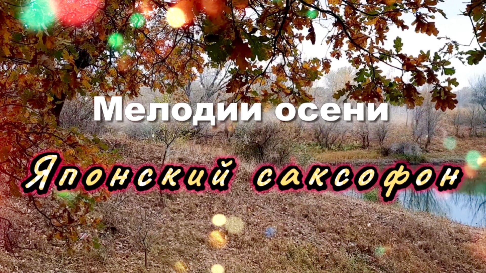 Японский саксофон, мелодии осени