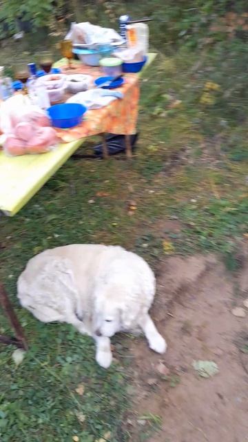 Конец урожая