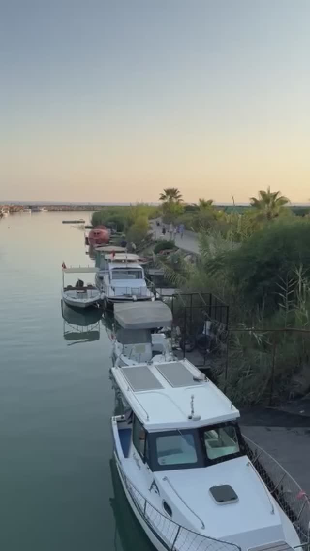 Большие и голодные......