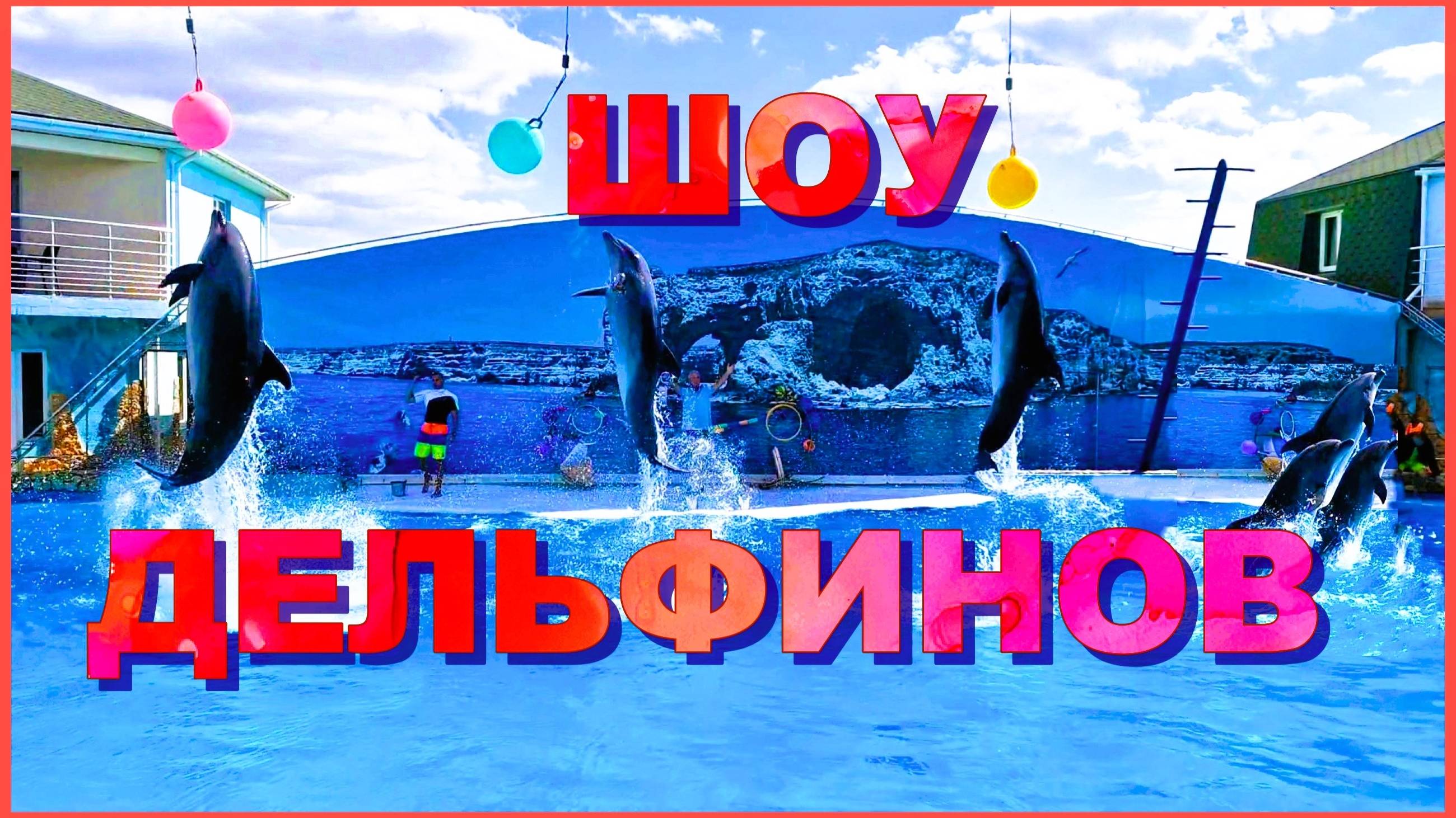 Поотрясающее шоу в дельфинарии на мысе Тарханкут. Крым
