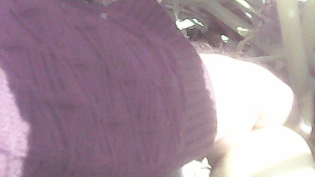 Снимаю тыковку сорта "Голиаф"