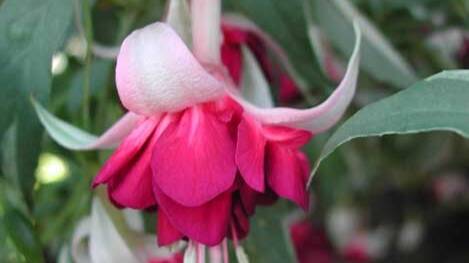 Как меня обманули на Авито!