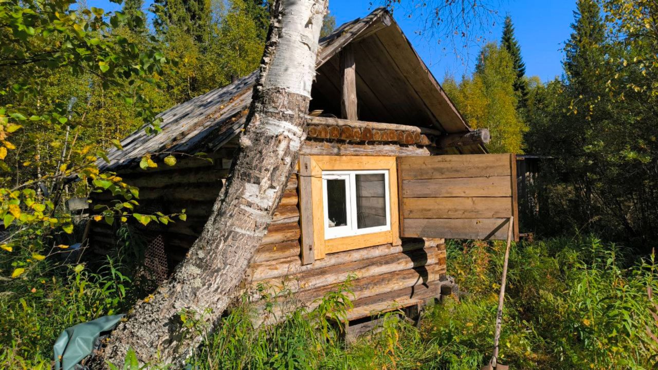 В ТАЙГЕ СНОВА СТАЛО ЖАРКО И ПОЯВИЛАСЬ МОШКА / ВЫЕЗЖАЕМ СЕГОДНЯ ДОМОЙ / РЫБА МЕЛКАЯ И ПЛОХО КЛЮЁТ.