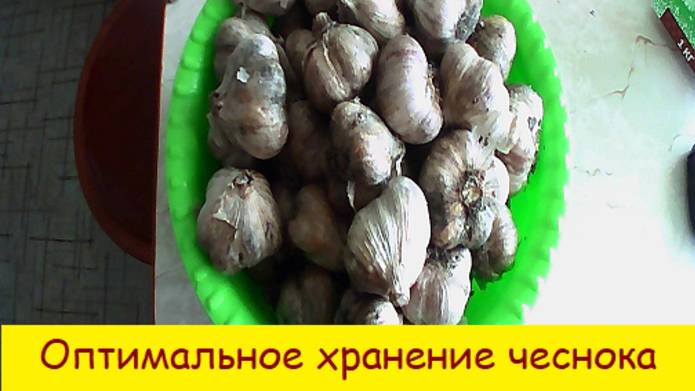 Оптимальное хранение чеснока