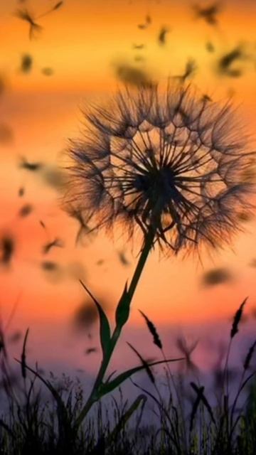 ЖЕРНОВА. Светлана Андрейченко. Стихи о пробуждении #вселеннаяя ,#стихиожизни #пробуждение