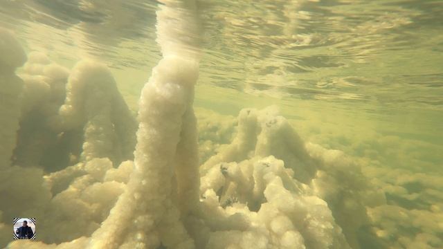 Купаемся в соленом озере Баскунчак, подводная съемка и соляные фигуры #баскунчак #подводнаясъемка