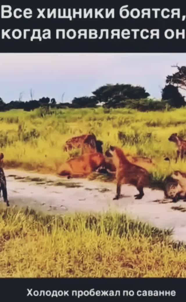 ☝️🤣🤣🤣🔥