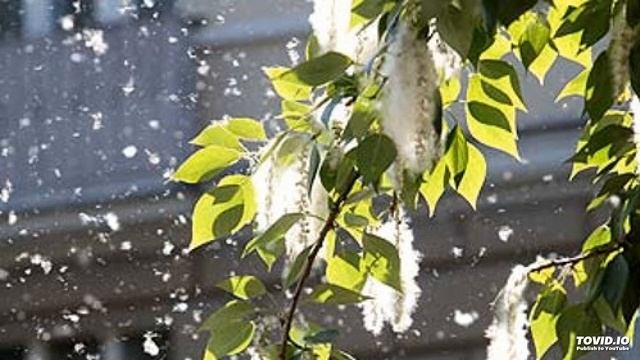 ЛуМиСта - Утро