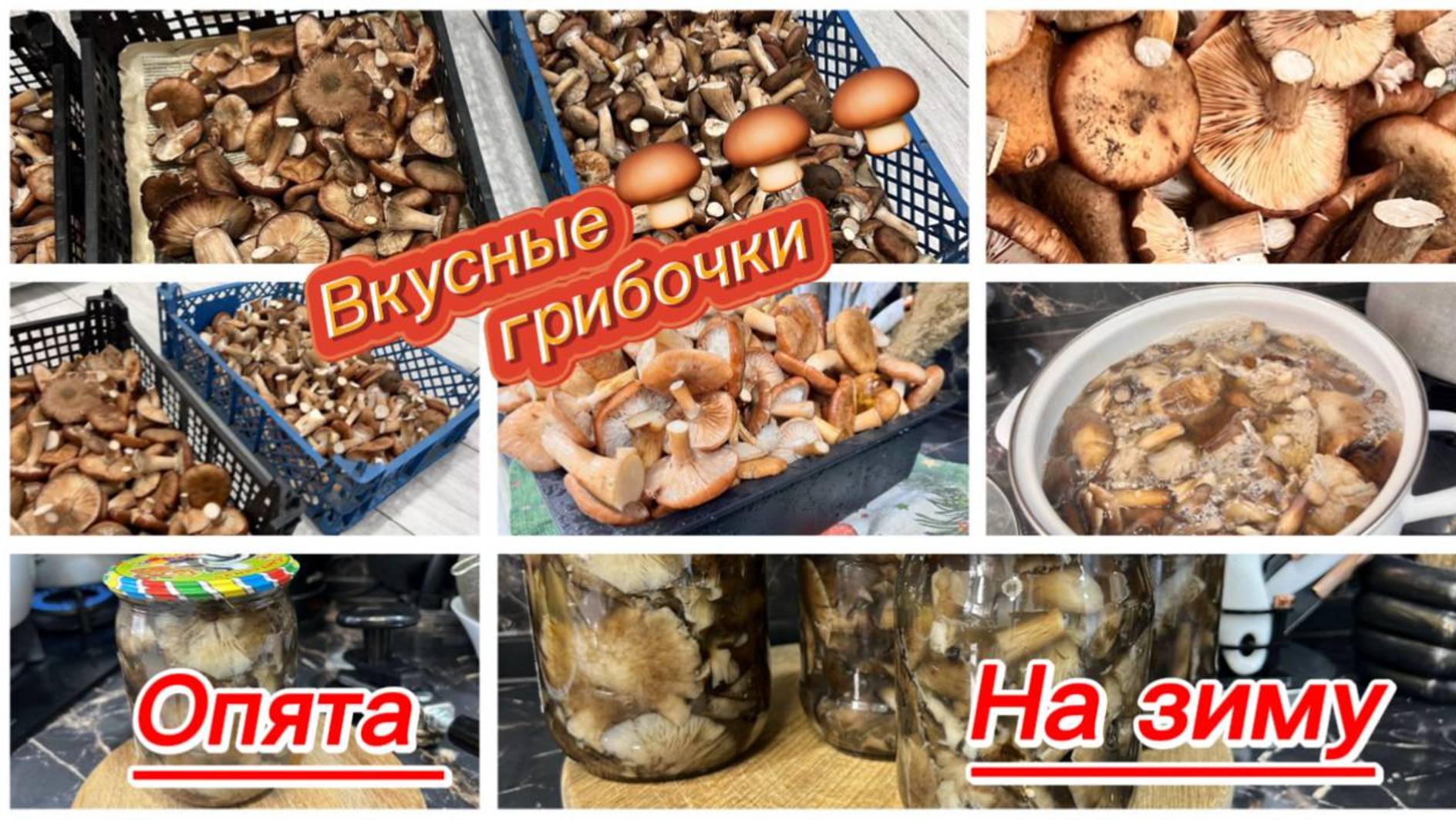 Соленые грибы опята на зиму