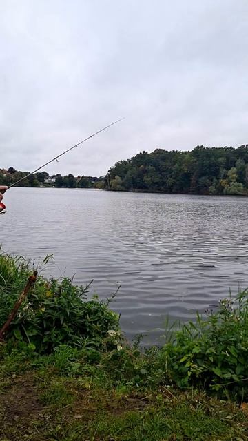 утро на рыбалке перед работой