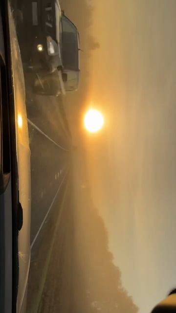 Утро- красота #природа #красота #nature #beautiful #road #roadtrip #sun #automobile #summer #vibes