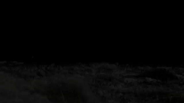 2010 07 02 Интеграл, Южноукраинск Мироворот