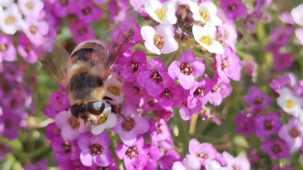 Влог 20-22.09.25 Меня Золушка укусила 🤣