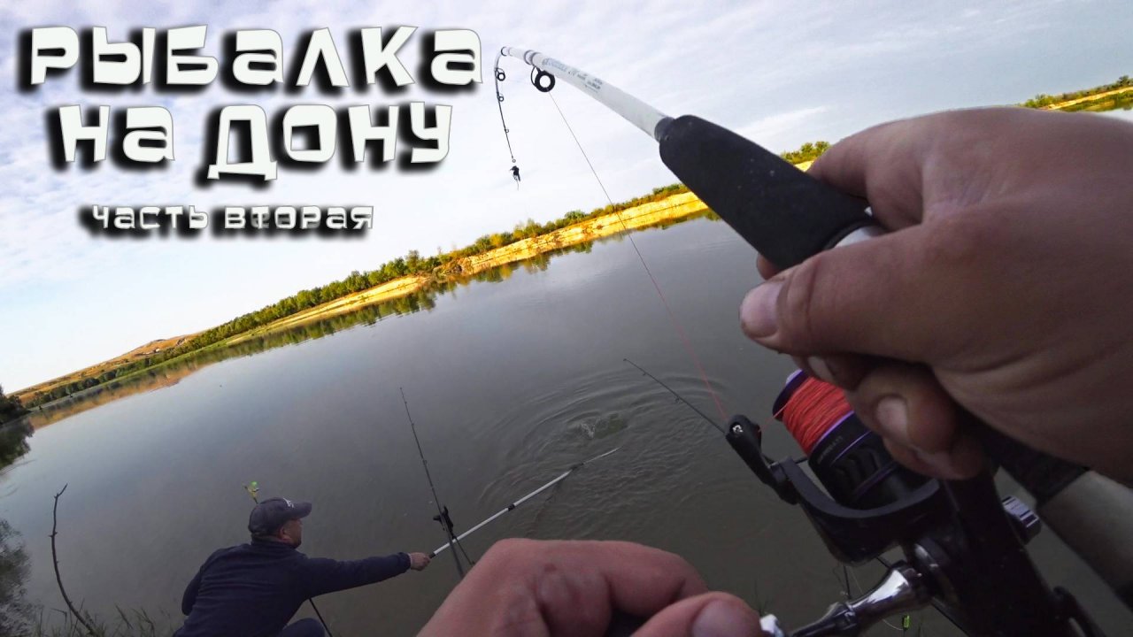 ЛОВЛЯ САЗАНА на ДОНУ 2025 часть вторая