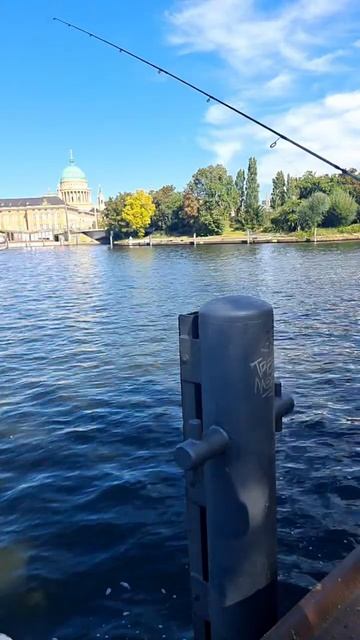 🎣 Рыбалка в порту Потсдама_ один окунь и сотни зевак 😅(1)