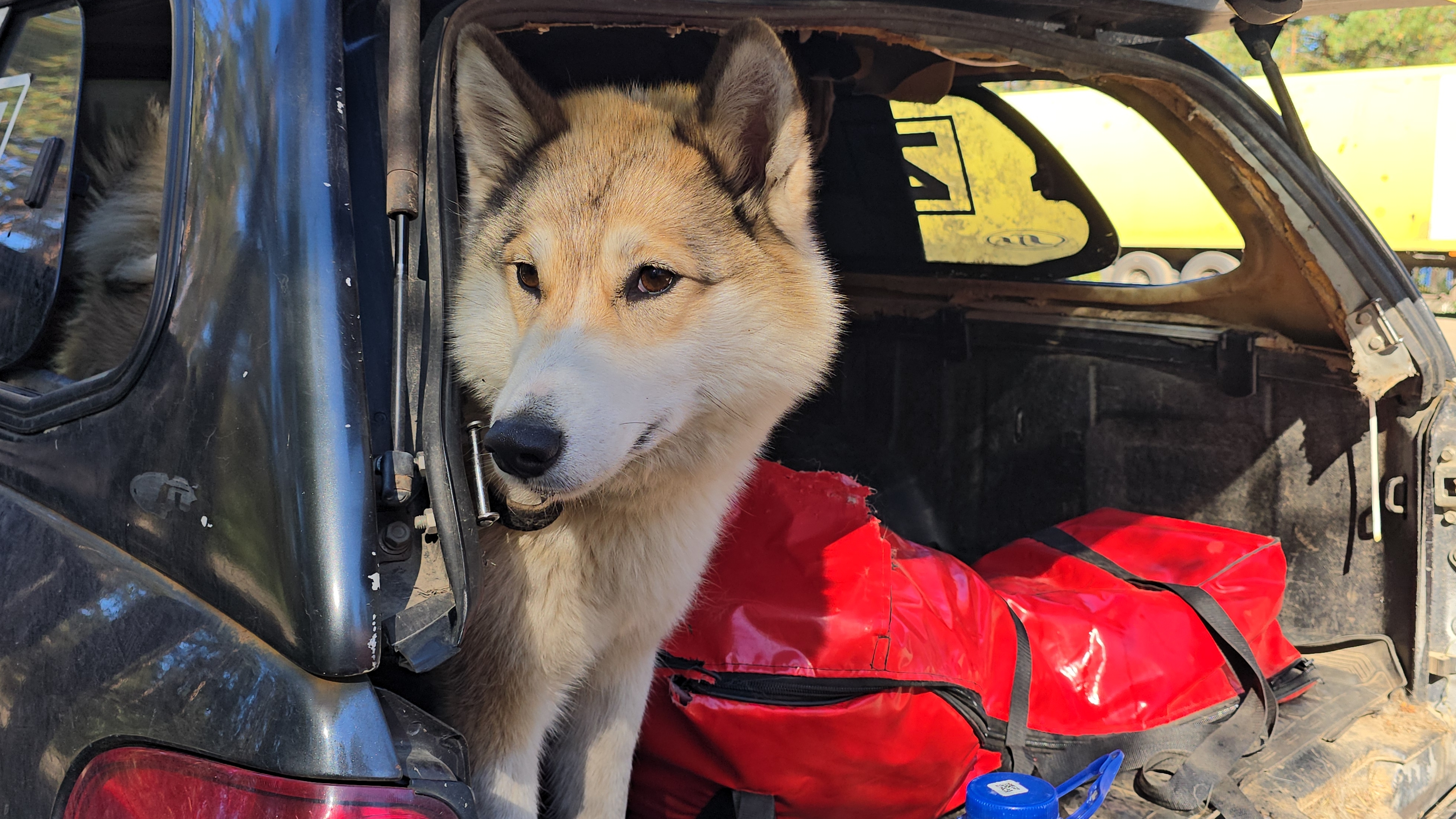 В сторону Финляндии