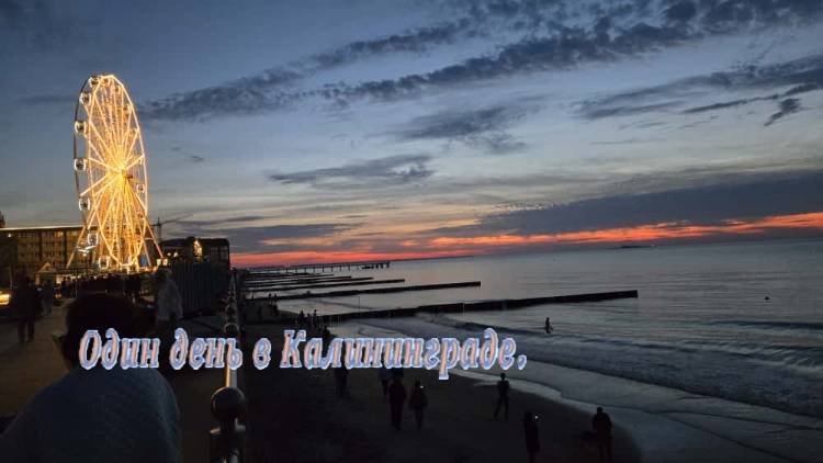 Один день в Калининграде. #Калининград_достопримечательности   #путешествие_отдых_отпуск