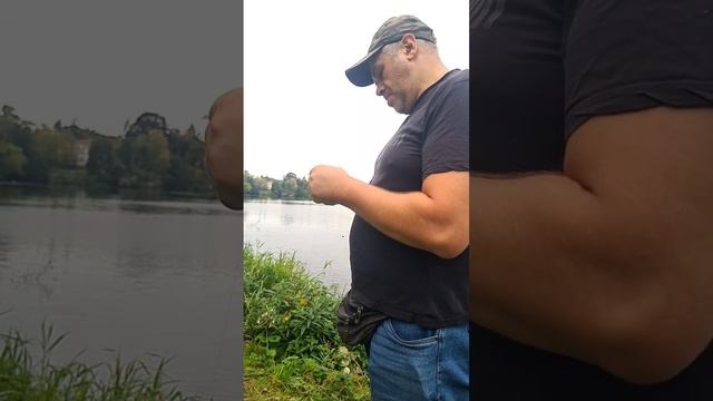 Рыбалка утром на окуня. На озере.