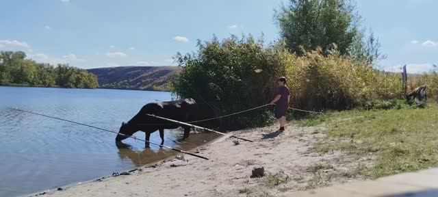 Рыбалка красивое место для ловли.Хутор Хоботок