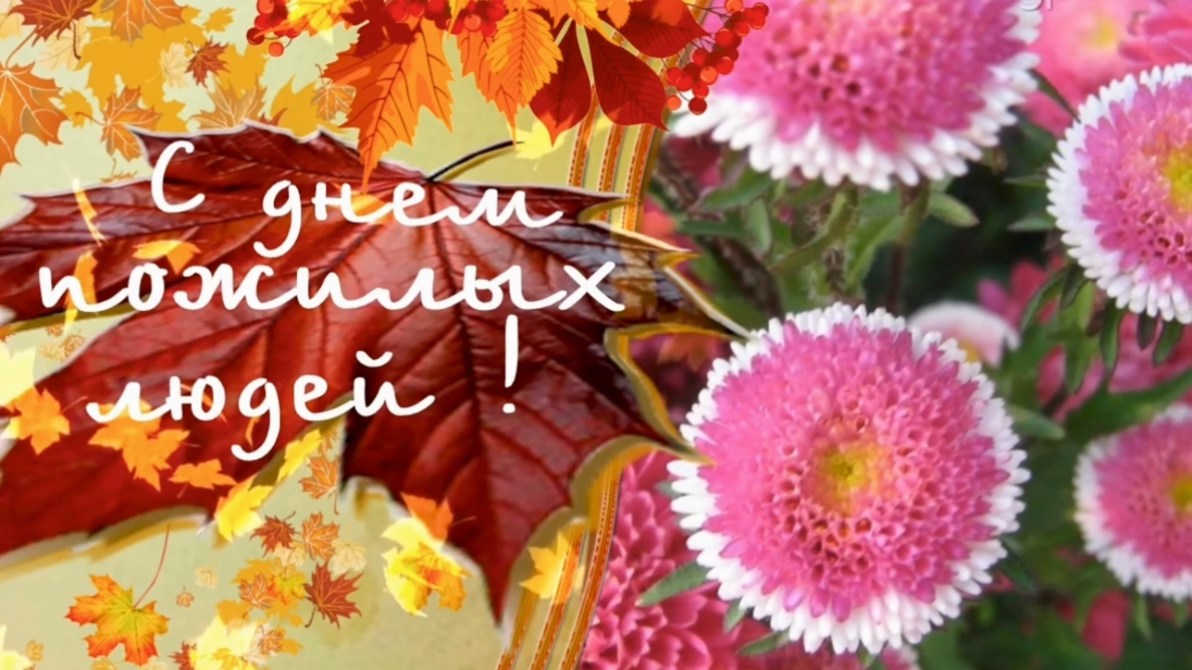 С днем пожилого человека. 1 октября день пожилого человека