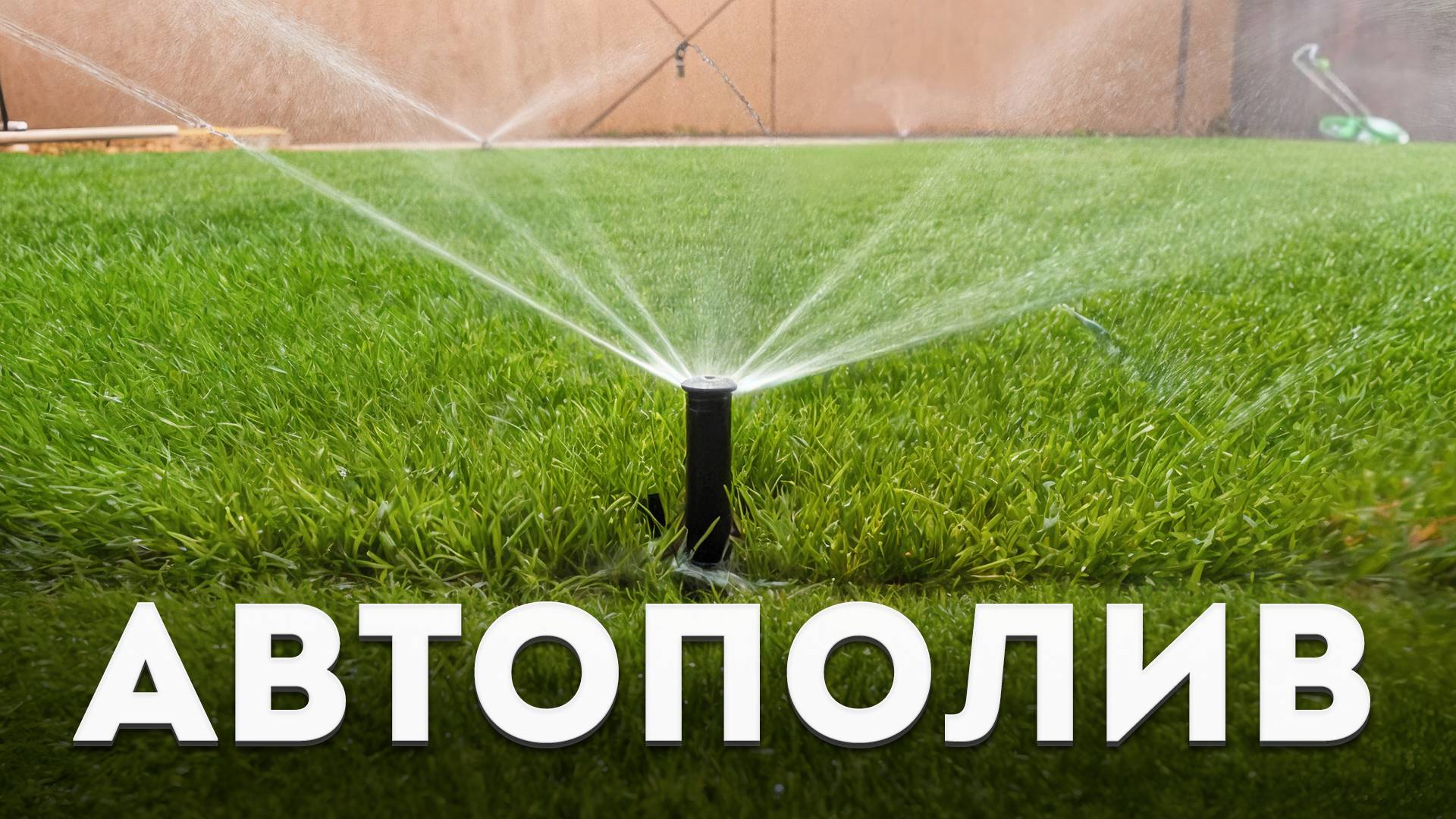 Автополив: умная система для вашего сада
