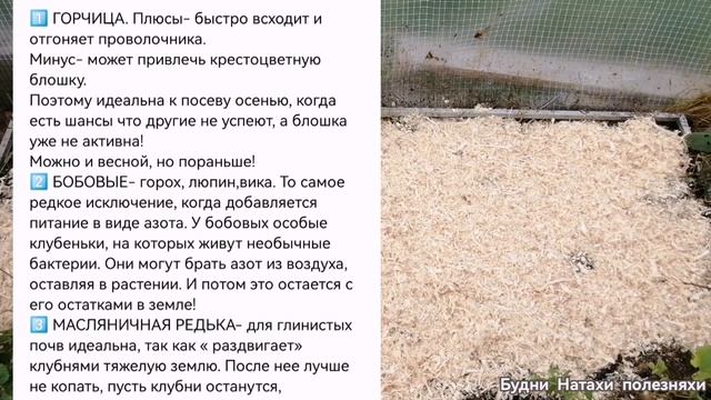 Сидераты! Не даем пустовать грядкам осенью. Внесение удобрений!