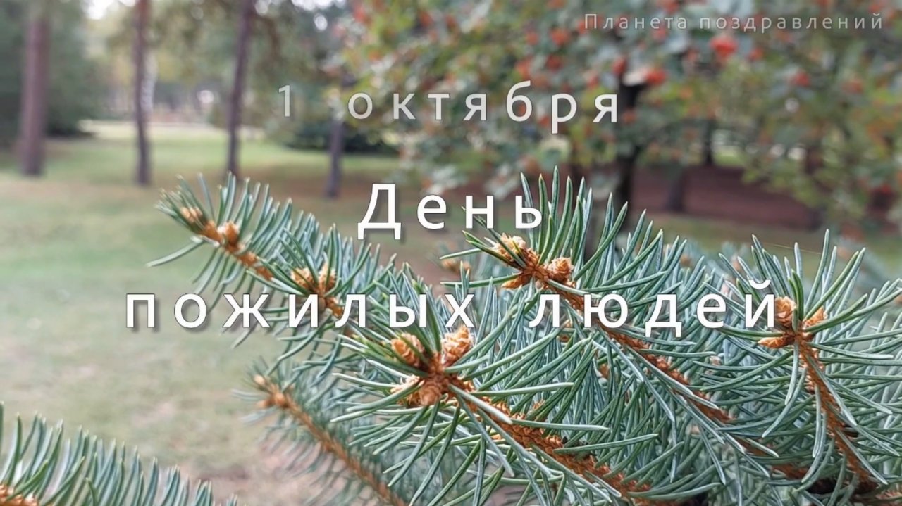 Поздравление с днем пожилого человека. 1 октября день пожилого человека