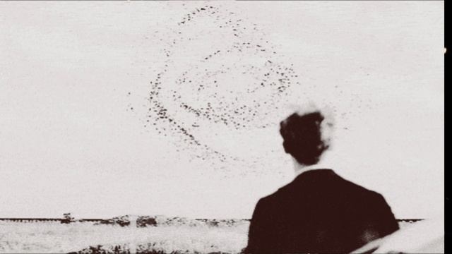 56. никто не нужен