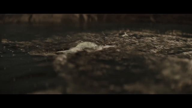 Мандалорец и Грогу - 2025 (09)