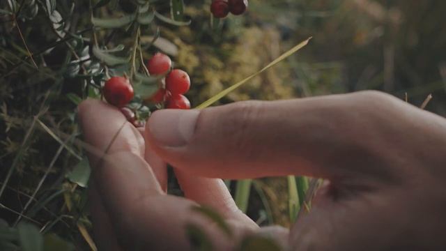 Я люблю тебя, Кабардино-Балкария! Кабардино-Балкарская Республика