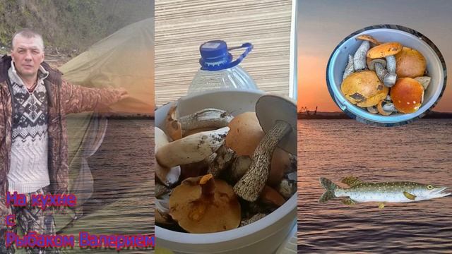 Готовлю рыбу. Вакуумирую грибы 🍄🍽️🐠
