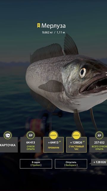 Внезапный резкий трофей мерлузы #рр4