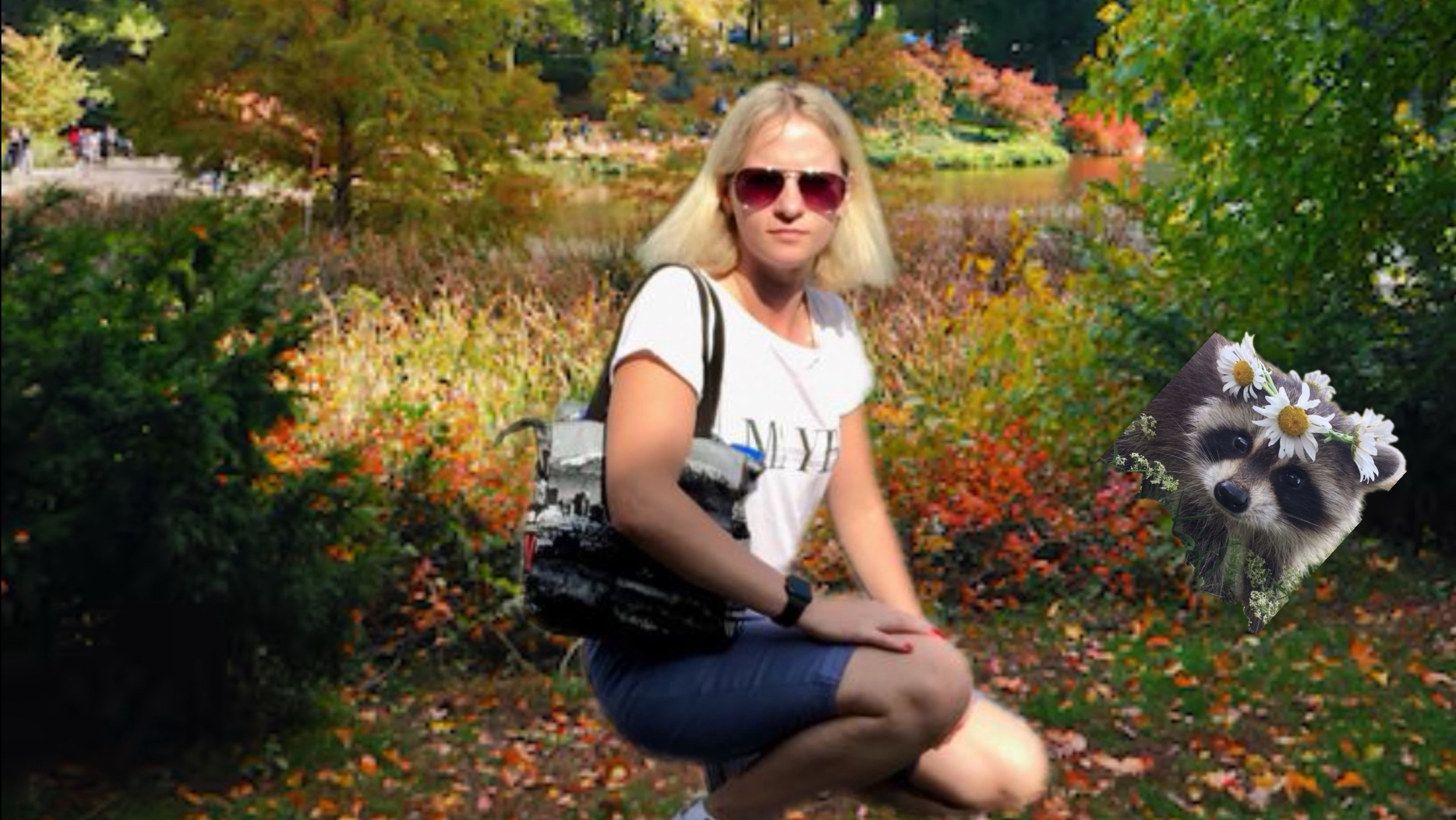 Еноты в Central Park NYC