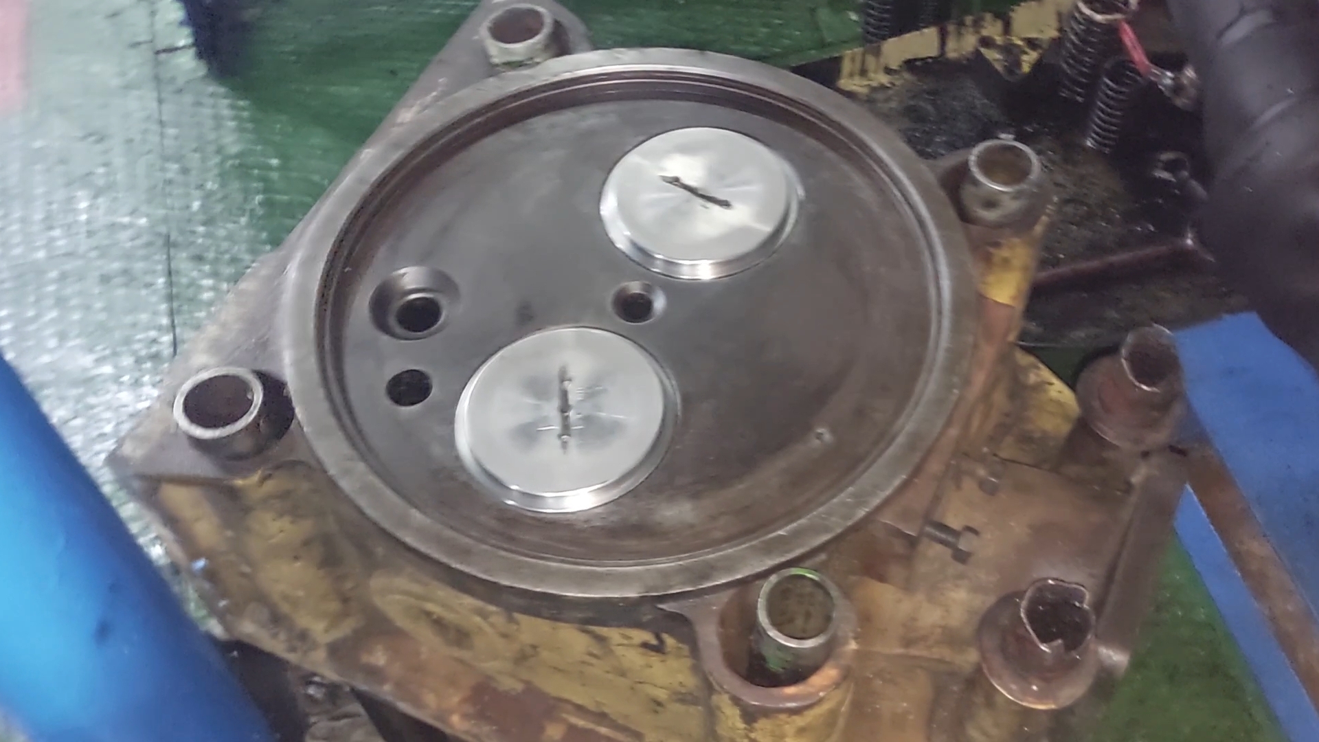 МКО. ВОЛГОГРАД 20 ДНЕЙ