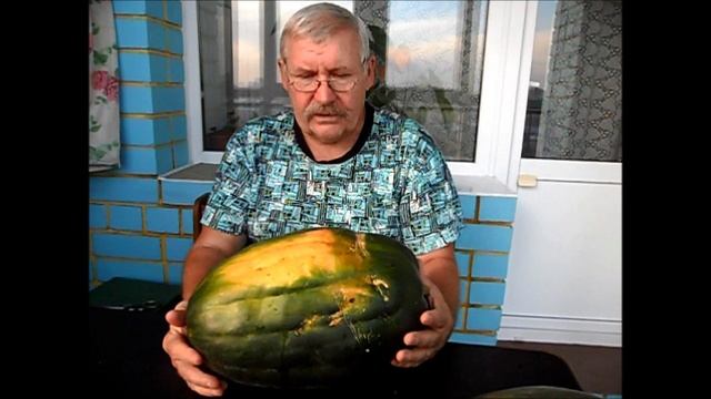 Тыква сорт ВИТАМИННАЯ