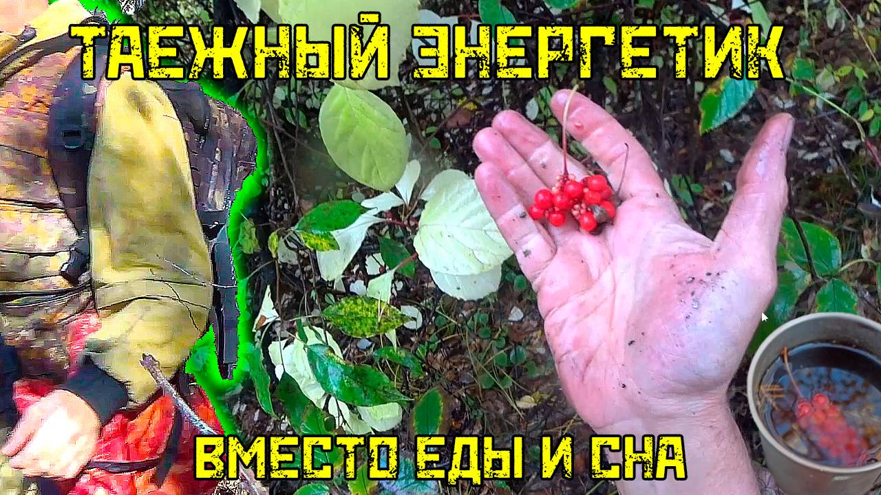 ТАЕЖНЫЙ ЭНЕРГЕТИК: Вместо еды и сна