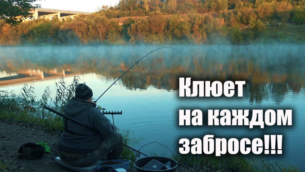 Осенняя рыбалка: Фидер, туман над рекой и долгожданные поклевки!!!