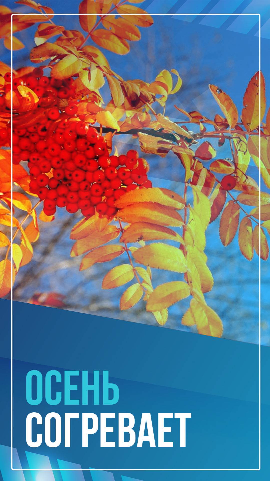 Осень согревает