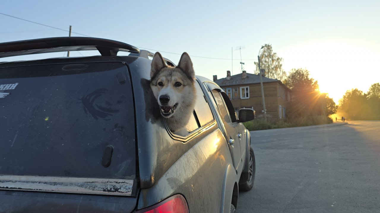 На своё место