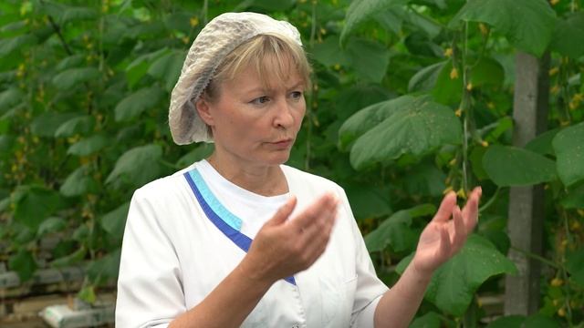 «Знак качества»: всё об овощах и кассовых чеках - 23.09.2025