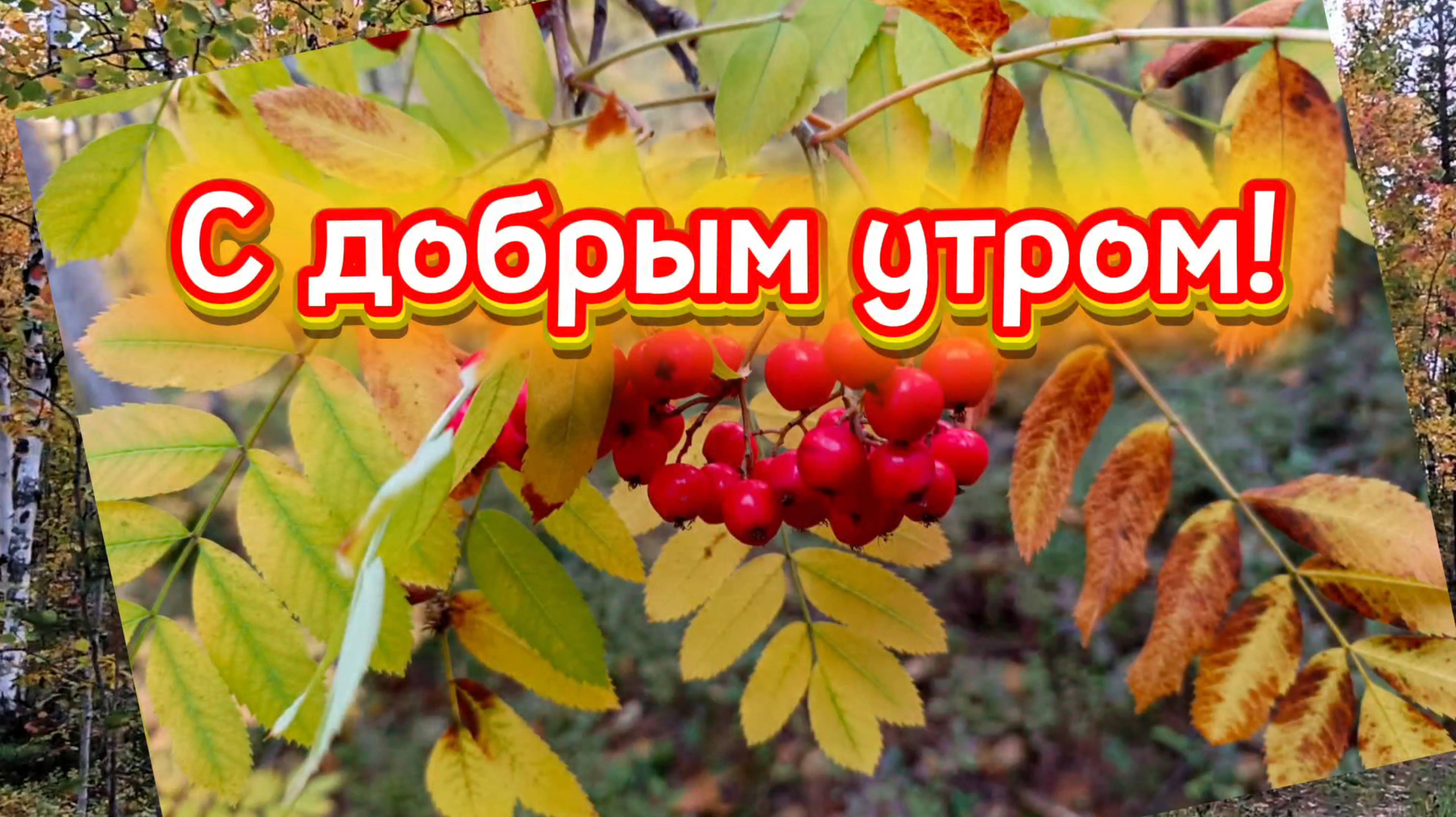 ДОБРОЕ  УТРО! Красивая песня С ДОБРЫМ УТРОМ!